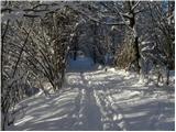 Stara Vrhnika - Koča na Planini nad Vrhniko